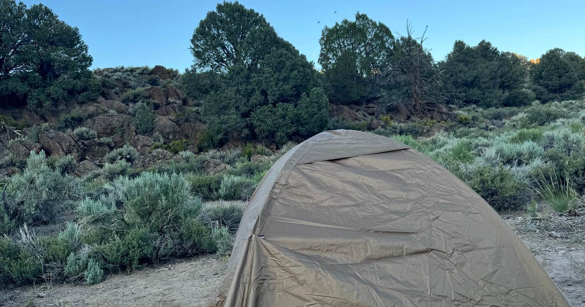 Bodie Roadside Camp