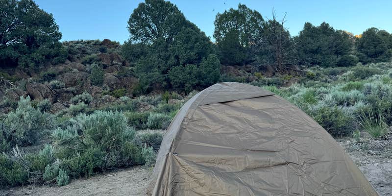 Camper submitted image from Bodie Roadside Camp