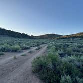 Review photo of Bodie Roadside Camp by Emma M., June 21, 2025