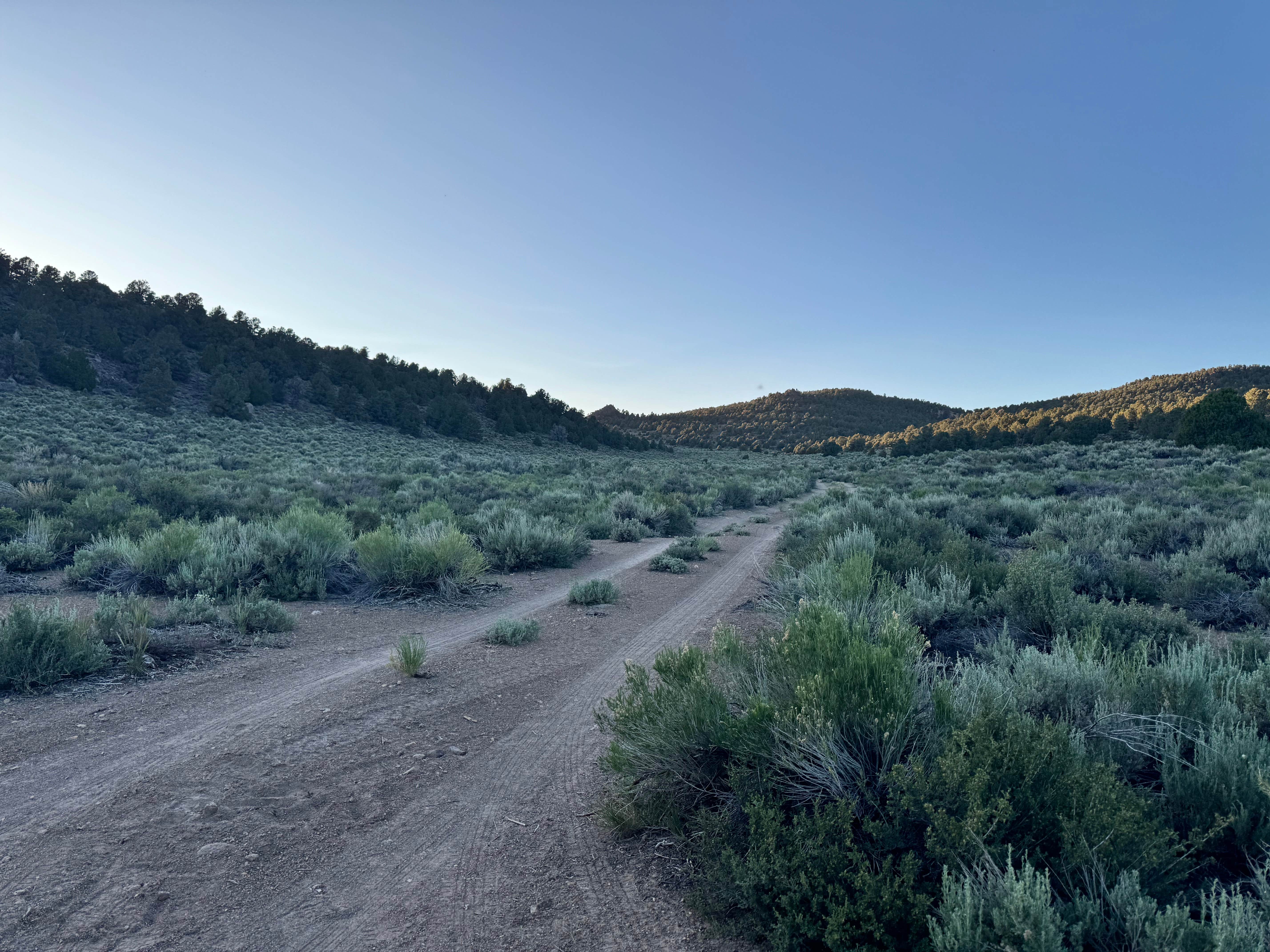 Camper submitted image from Bodie Roadside Camp - 2
