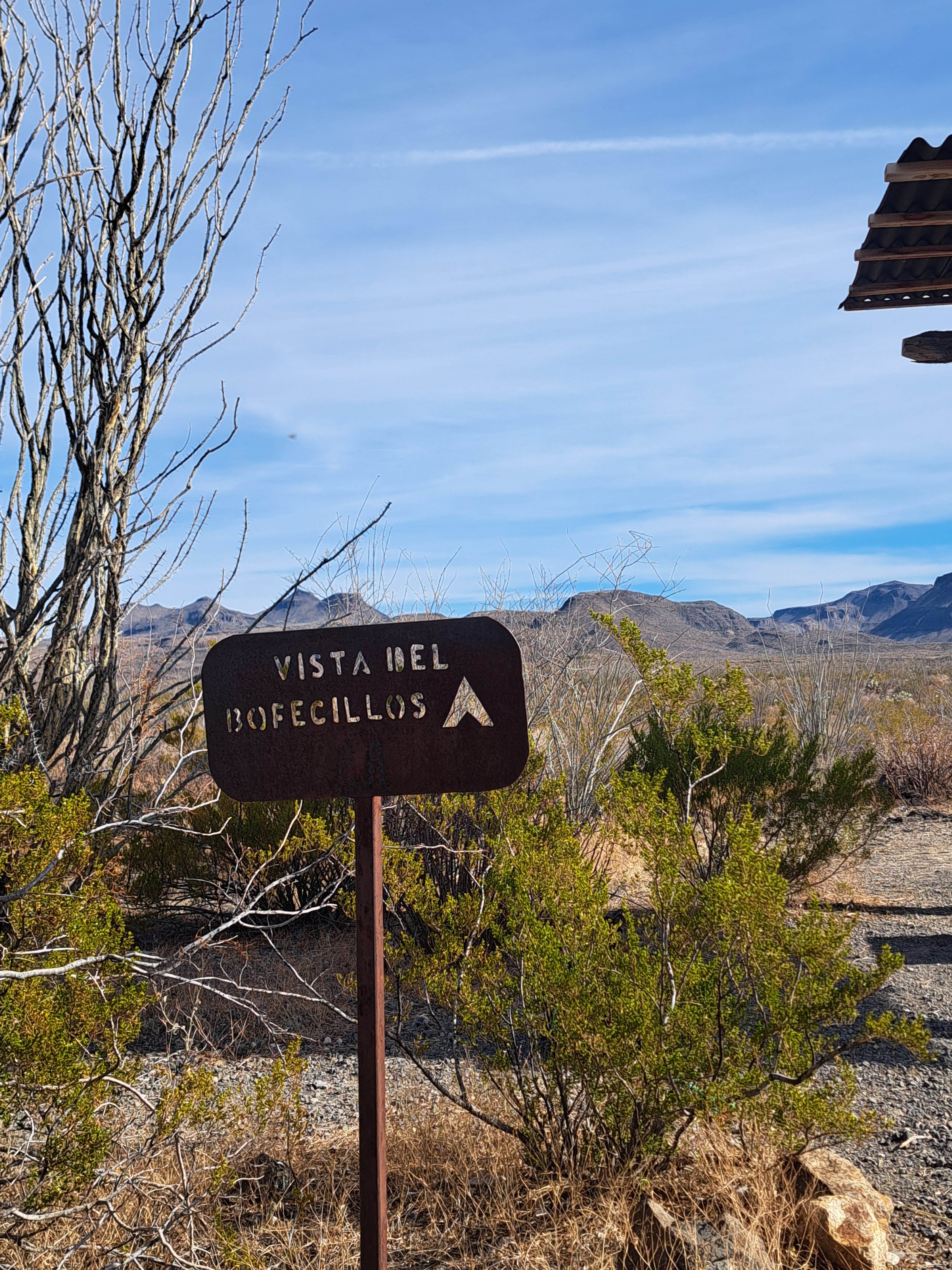 Camper-submitted photo at Bofecillos Primitive Campsites — Big Bend Ranch State Park near Redford, TX
