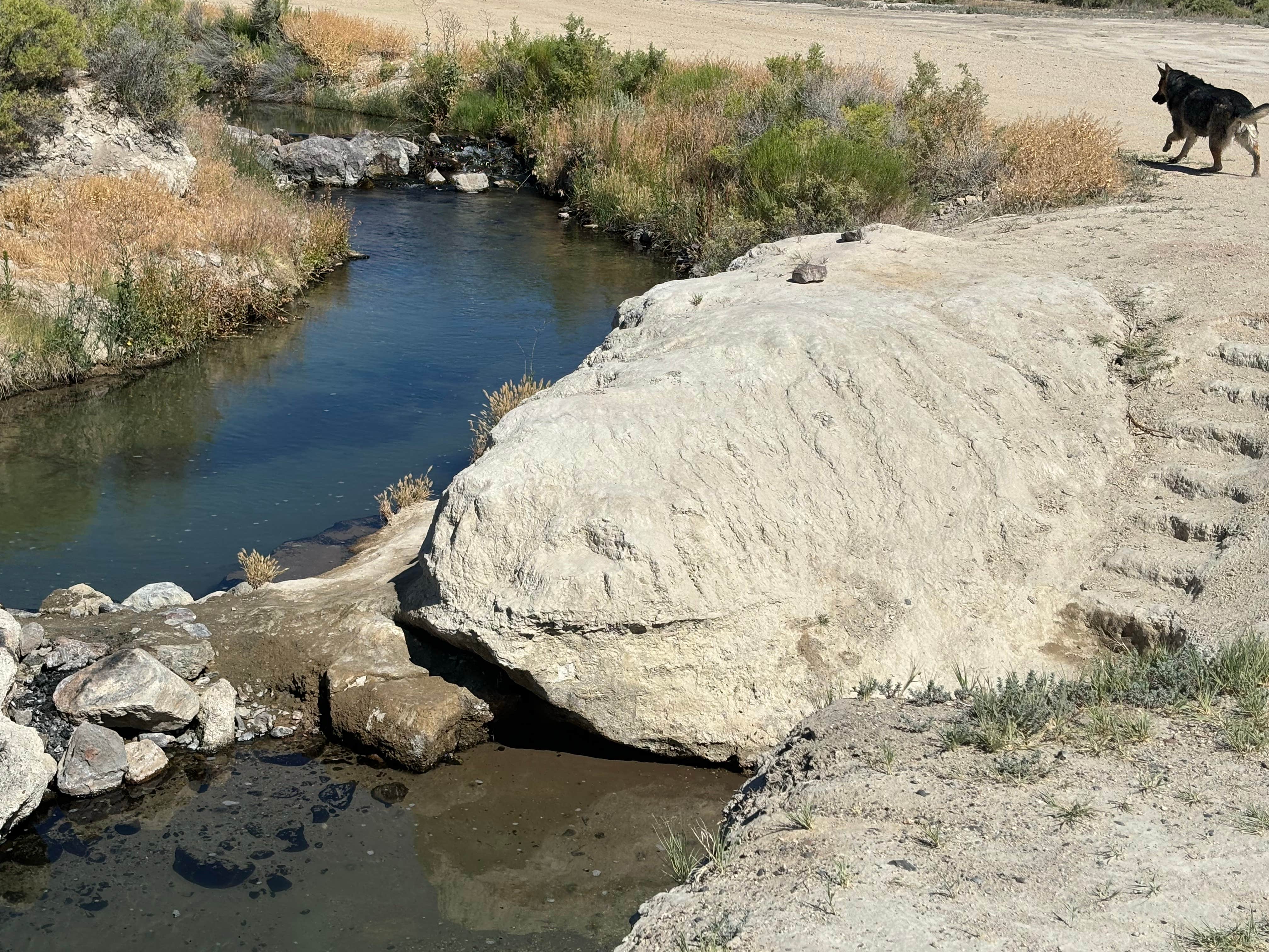 Camper submitted image from Bog Hot Springs Dispersed Camping - 5