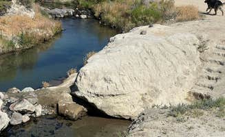 Heidi M.'s photo of camping with pets at Bog Hot Springs Dispersed Camping near Denio, NV