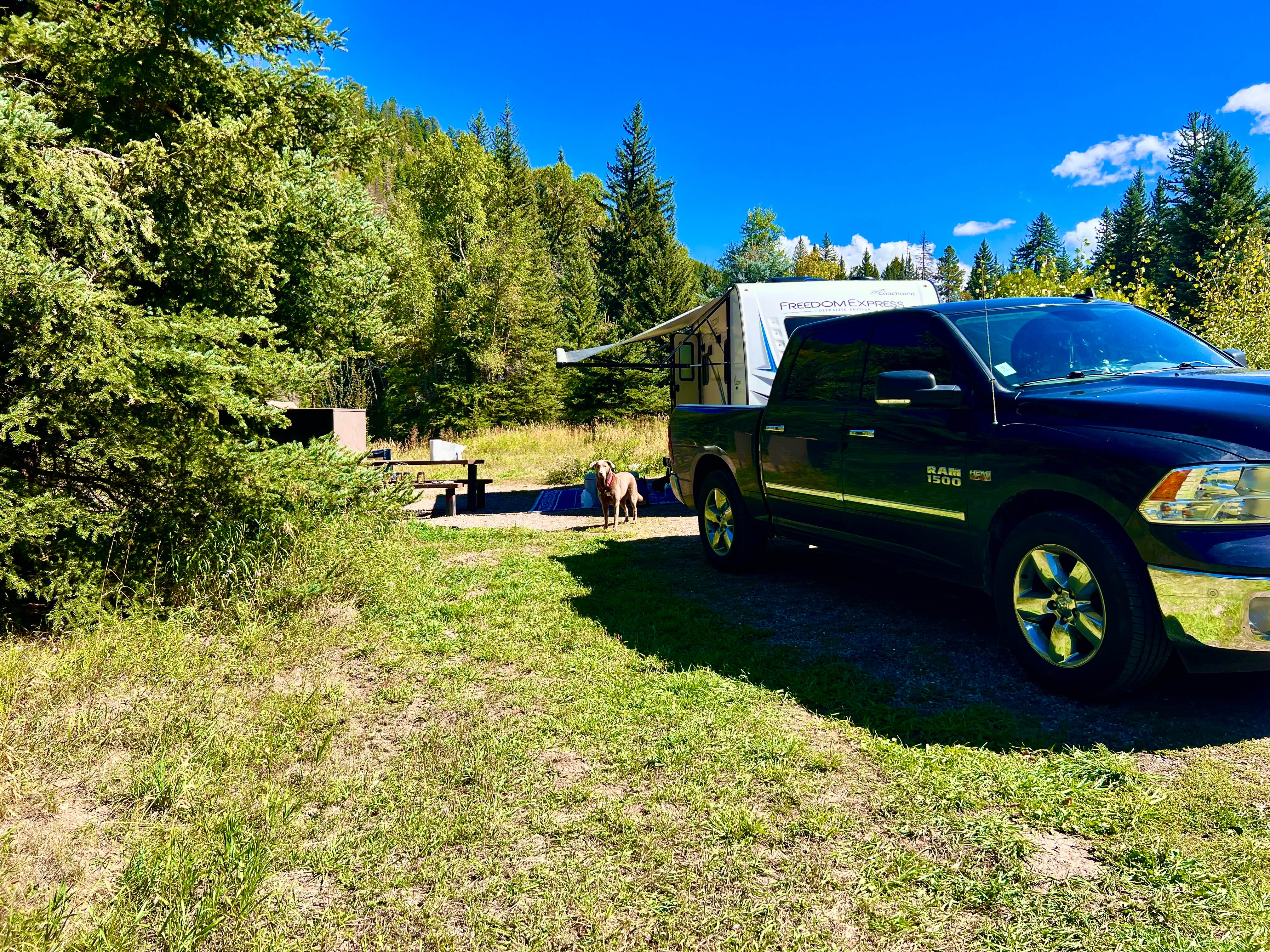 Bill M.'s photo of camping with pets at Bogan Flats Campground Grp S near Crested Butte, CO