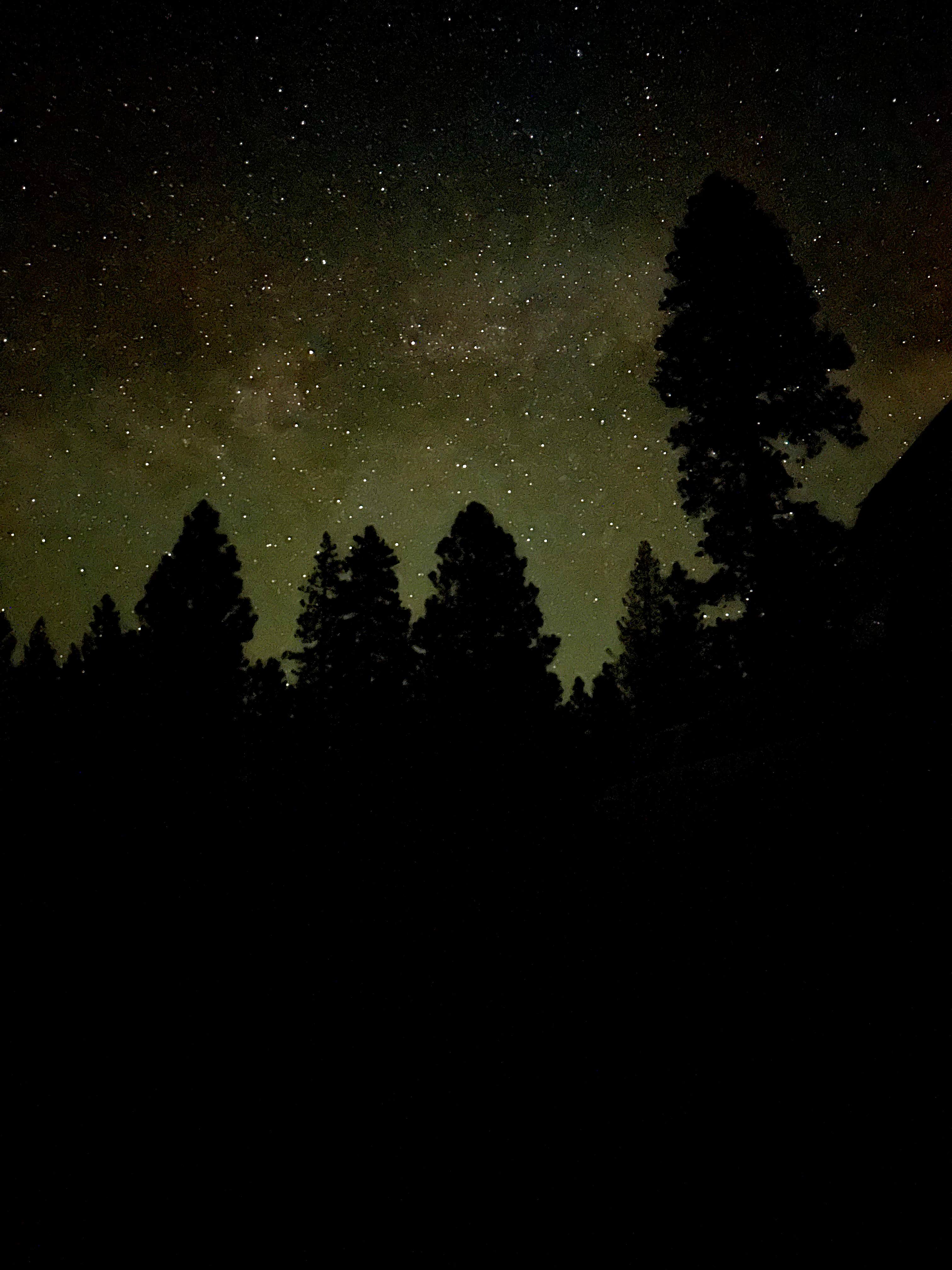 Sarah J.'s photo of a dispersed camping area at Bogard USFS Dispersed near Belden, CA