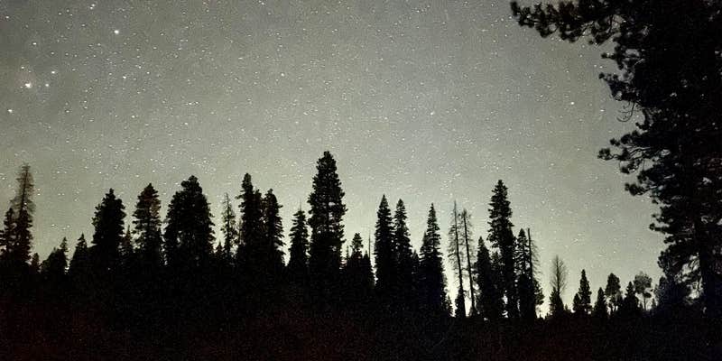 Camper submitted image from Bogard USFS Dispersed