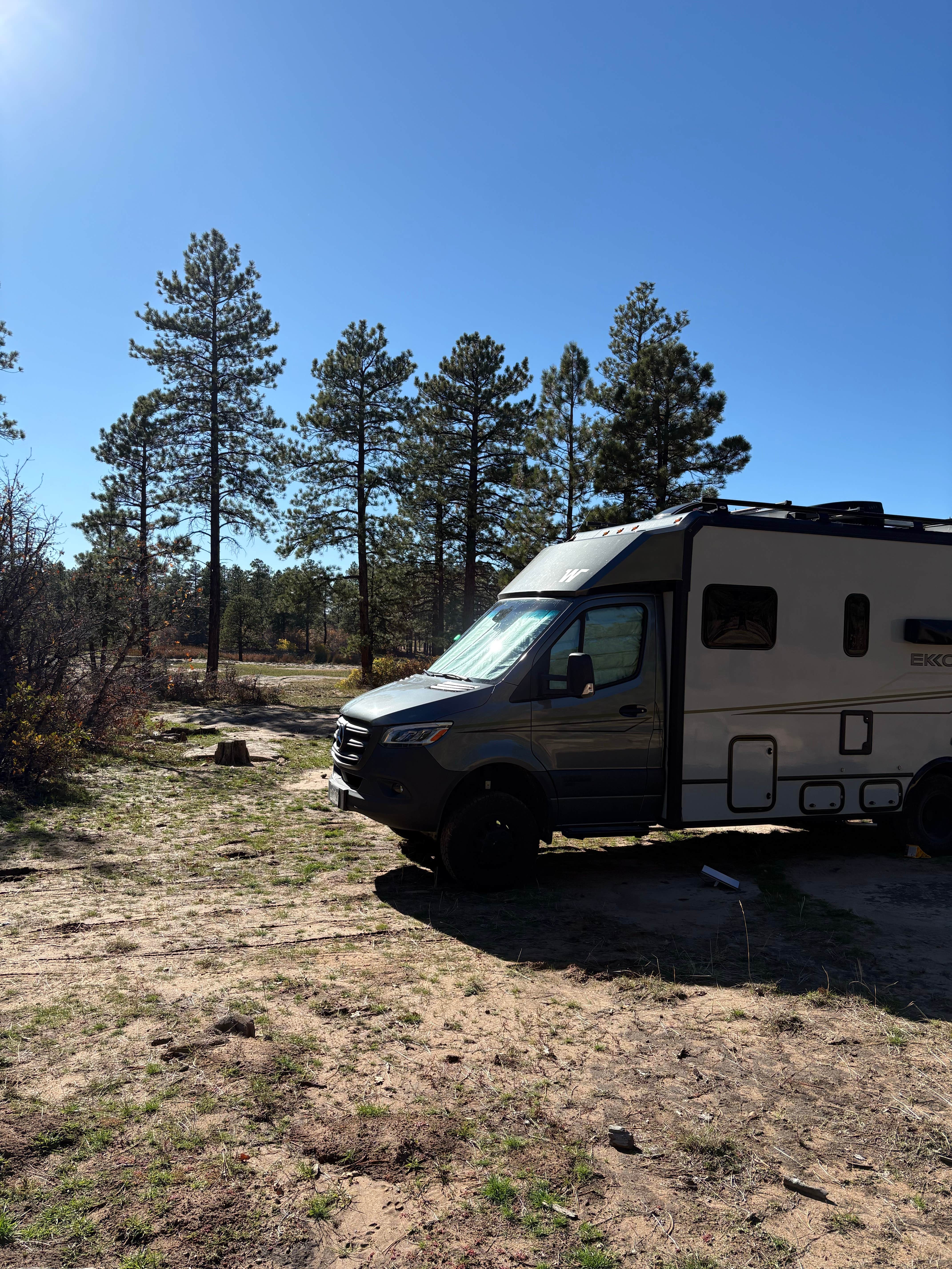 Camping near West Steer Resevoir: Boggy Draw 1, Dolores, Colorado