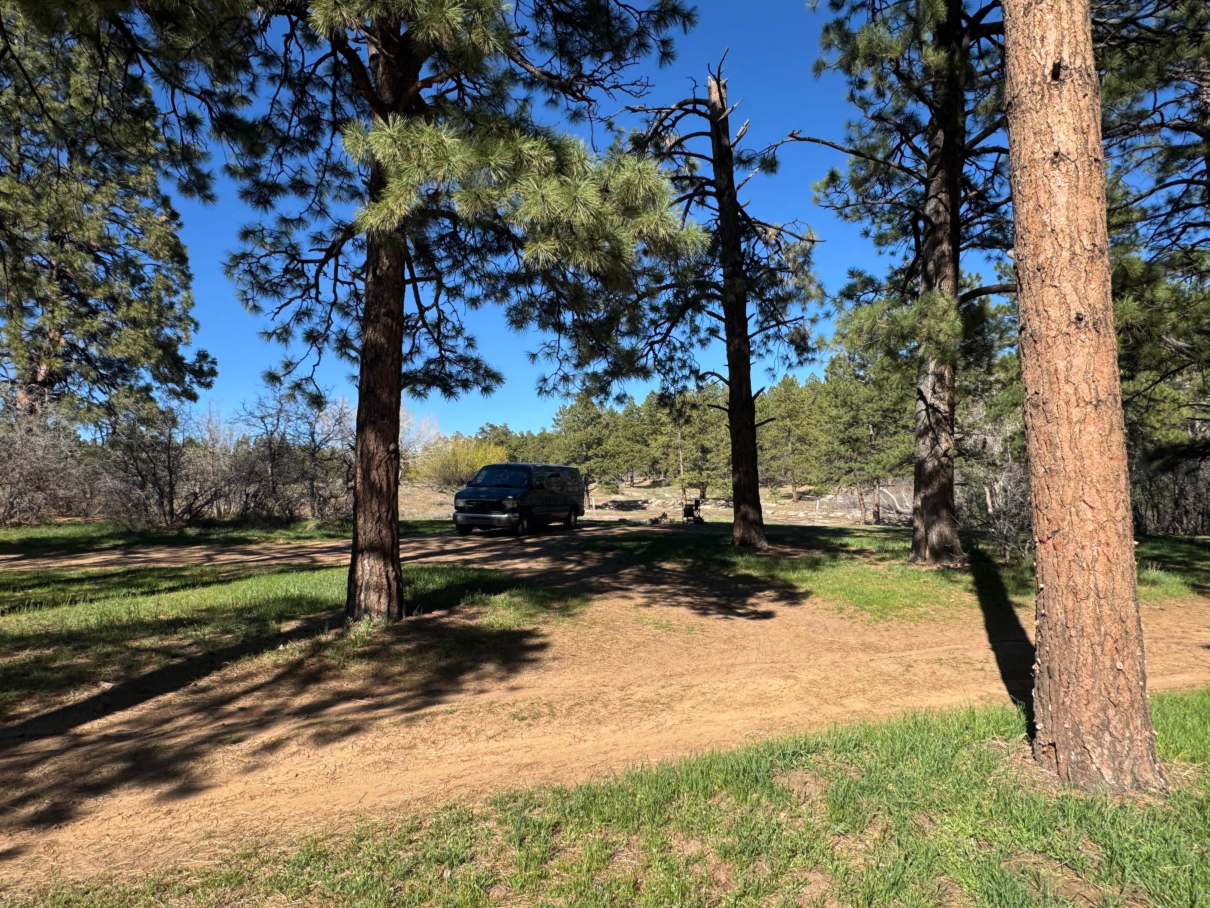 Camper-submitted photo at Boggy draw near Cortez, CO