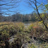 Review photo of Bogue Chitto State Park Campground by Taylor C., March 9, 2024