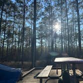 Review photo of Bogue Chitto State Park Campground by cami , February 4, 2024