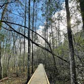 Review photo of Bogue Chitto State Park Campground by Taylor C., March 9, 2024