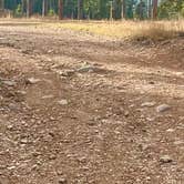 Review photo of Bogus Jim Creek Campsite by Susan B., November 10, 2025