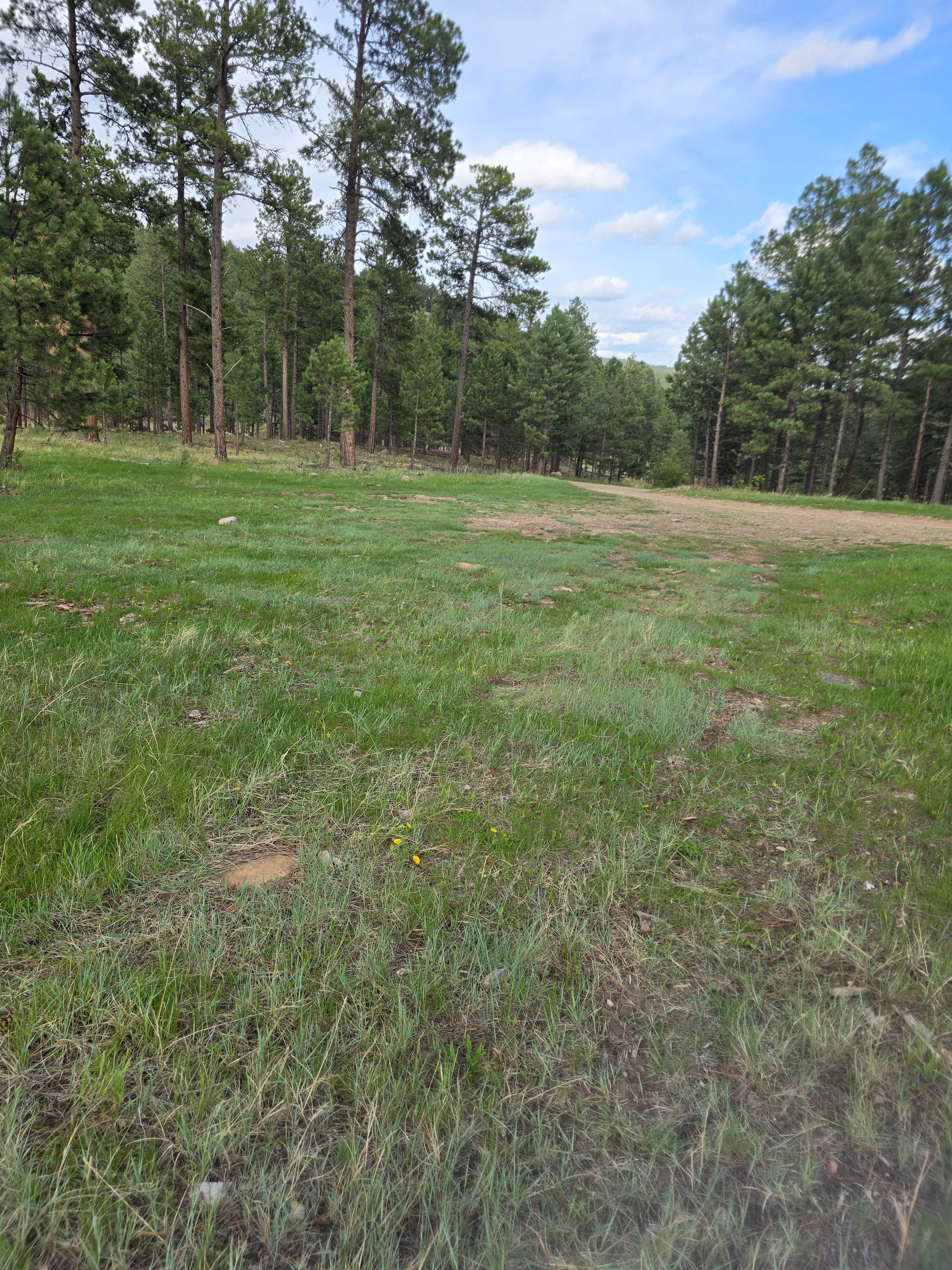 Camper-submitted photo at Bogus Jim Creek Campsite near Silver City, SD