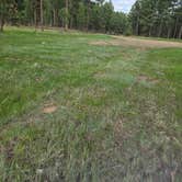 Review photo of Bogus Jim Creek Campsite by SAM , May 16, 2025
