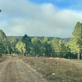 Review photo of Bogus Jim Creek Campsite by Susan B., November 10, 2025