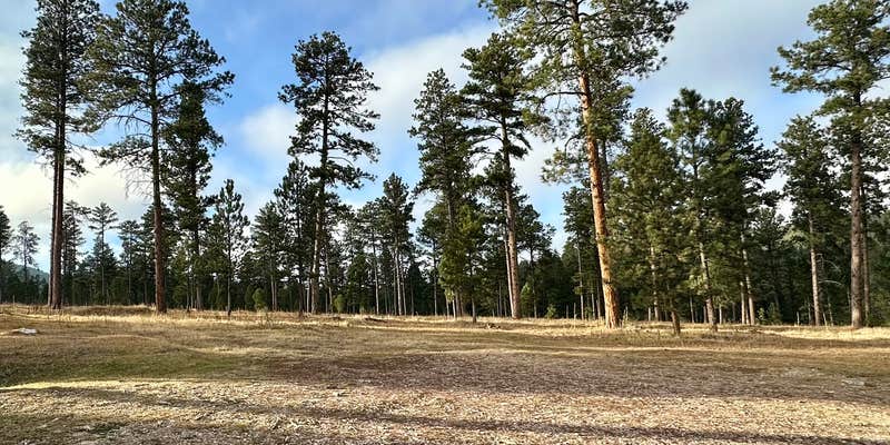 Camper submitted image from Bogus Jim Creek Campsite