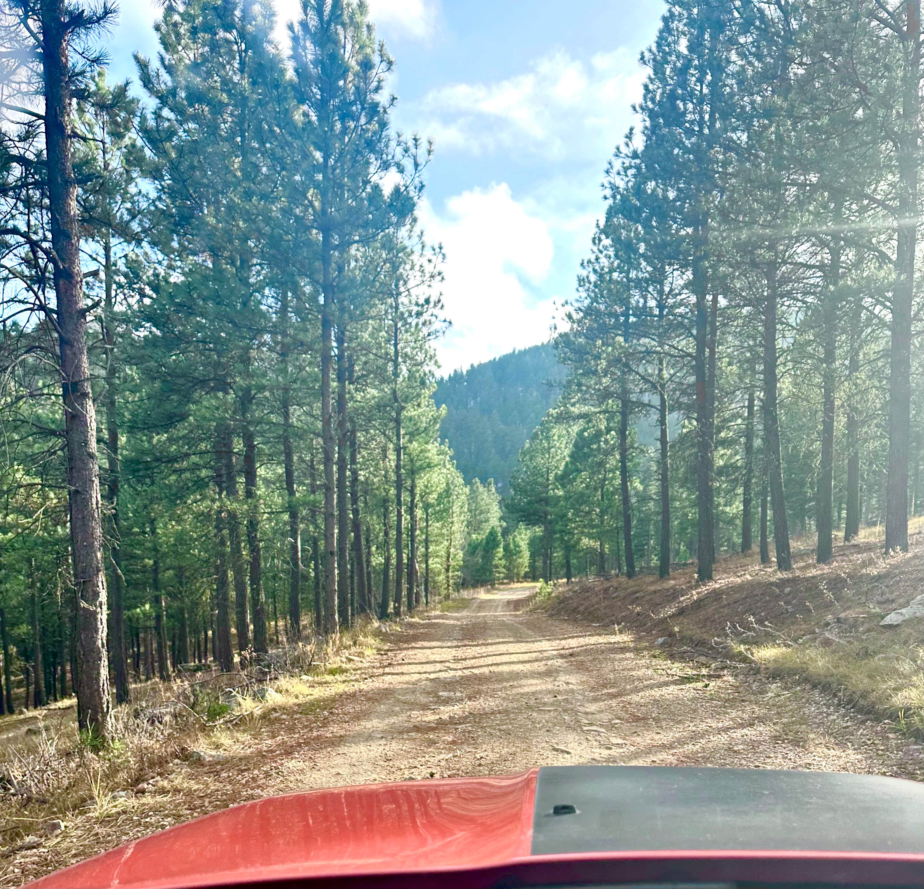 Camper-submitted photo at Bogus Jim Creek Campsite near Silver City, SD