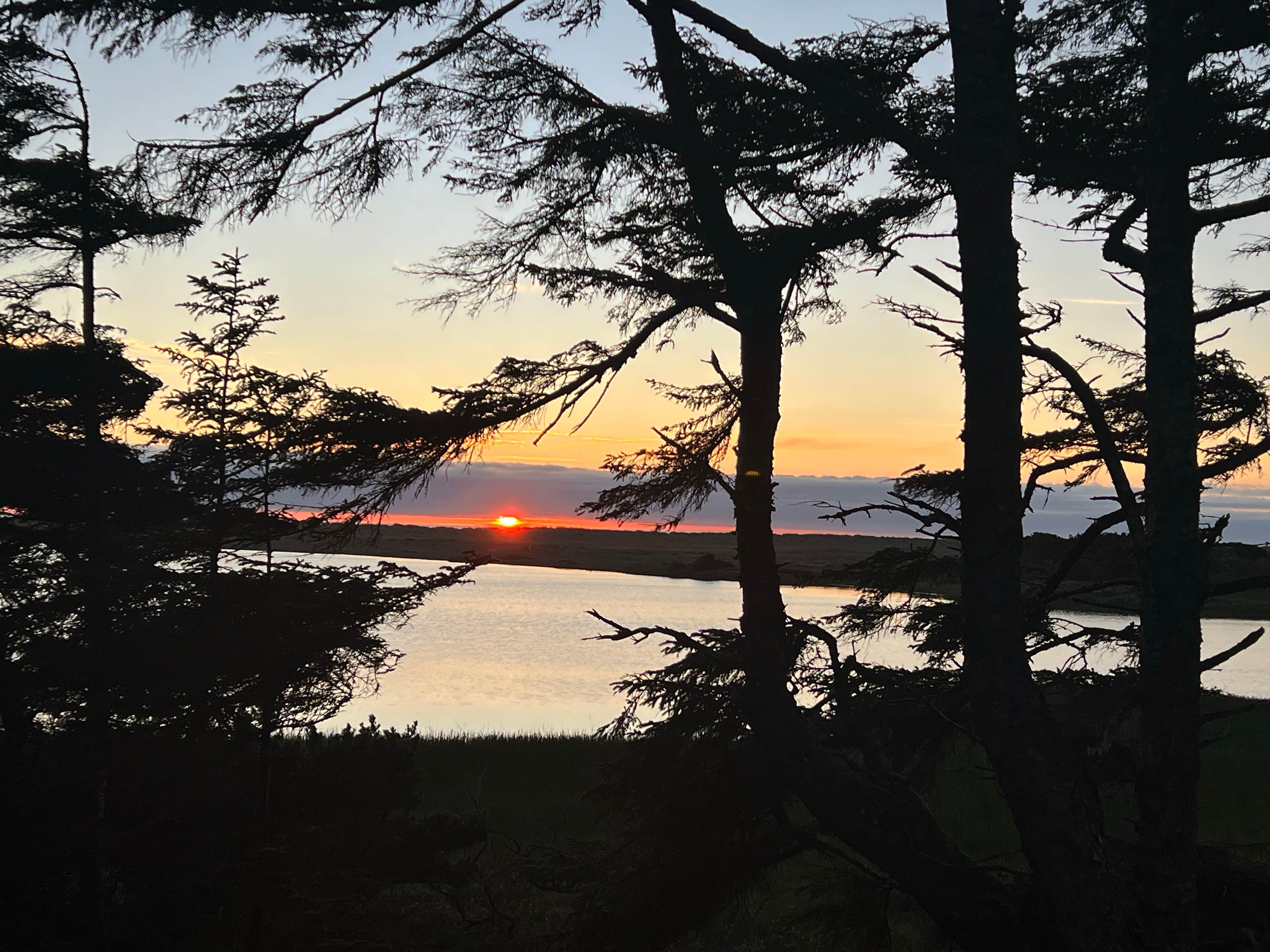 Camper-submitted photo at Boice-Cope Campground near Bandon, OR