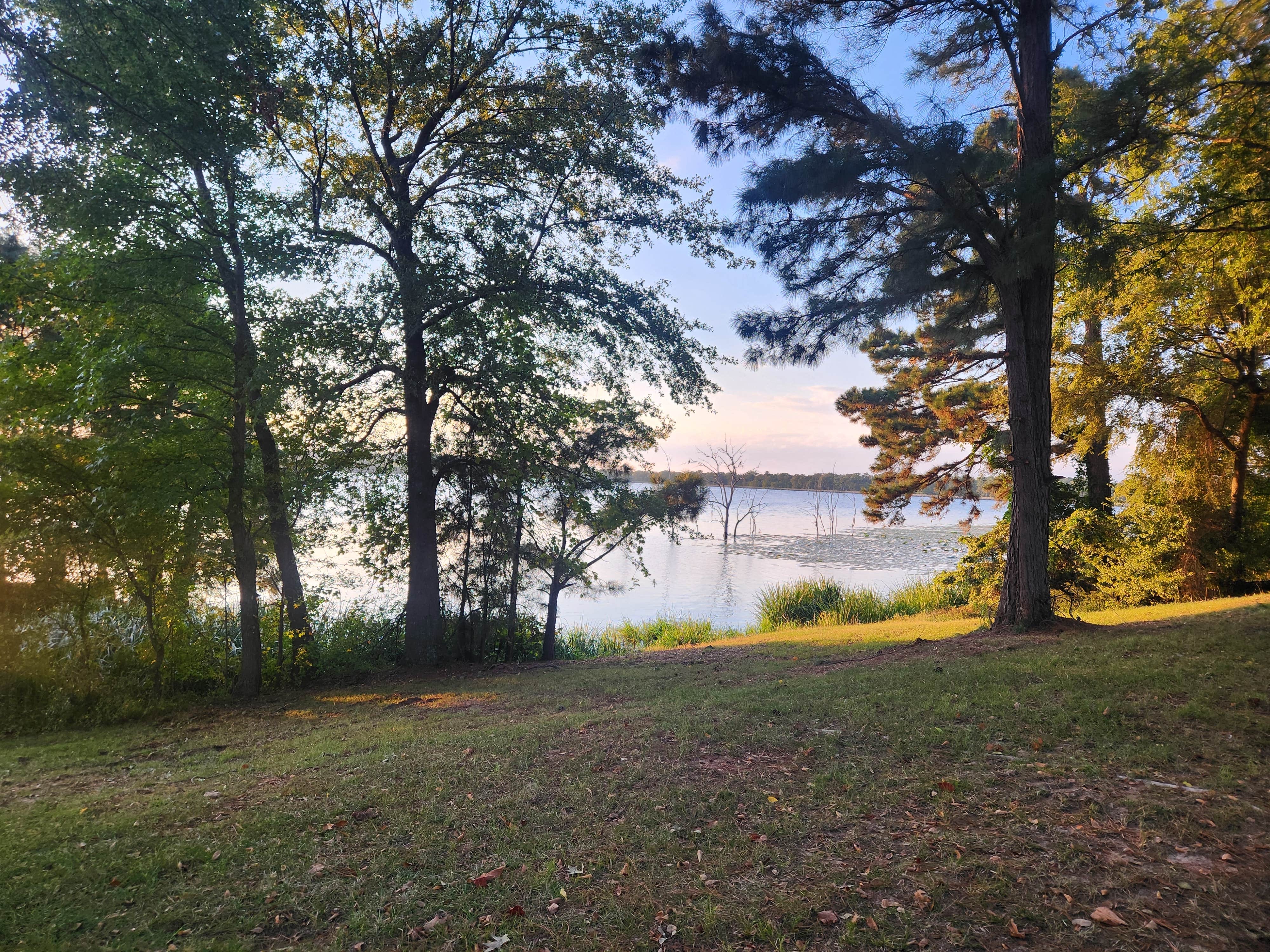 Camper-submitted photo at Bois D'Arc Lake Wildlife Area near Nashville, AR
