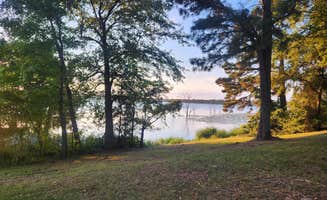 Lynn's photo of a dispersed camping area at Bois D'Arc Lake Wildlife Area in Arkansas