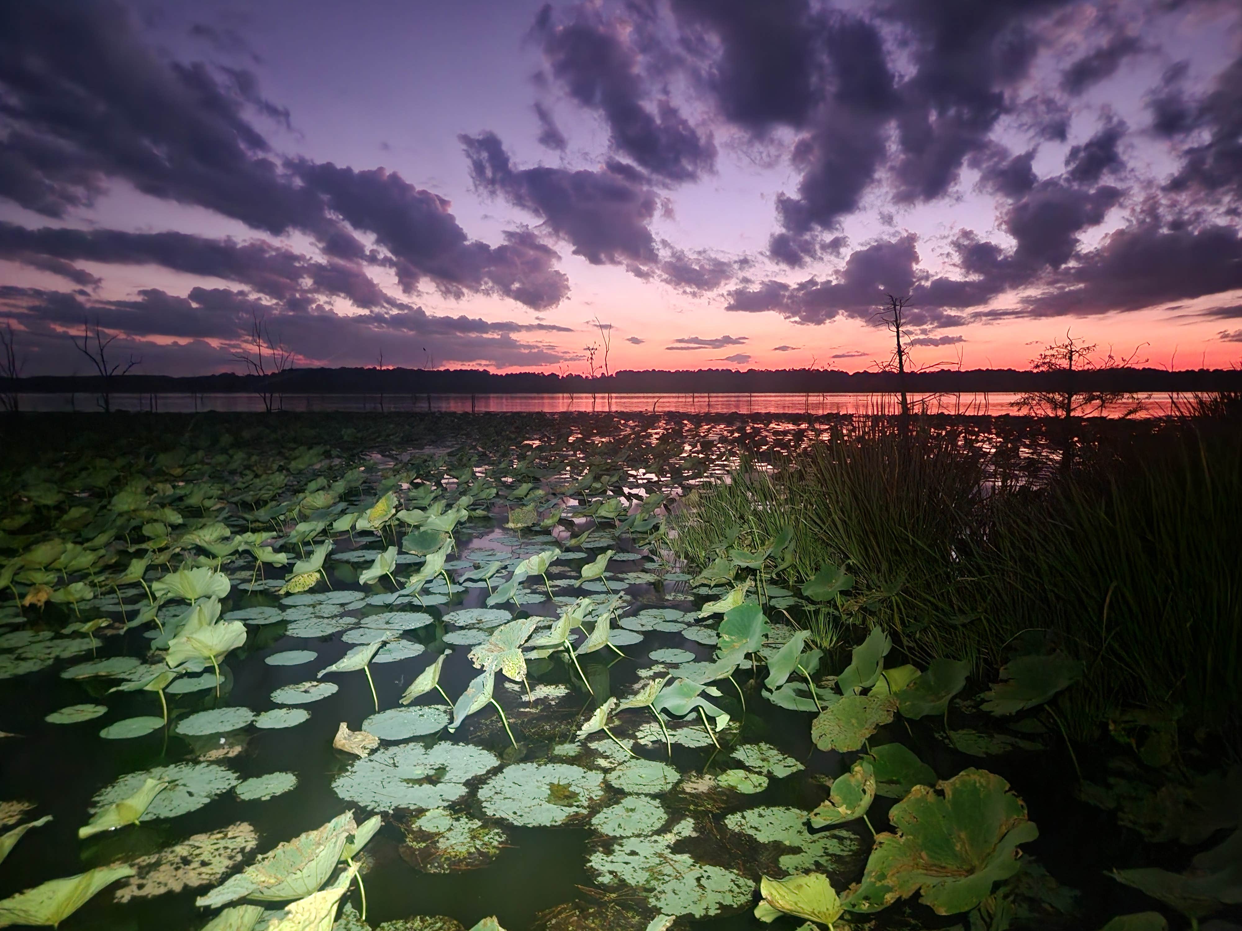 Camper-submitted photo at Bois D'Arc Lake Wildlife Area near Nashville, AR