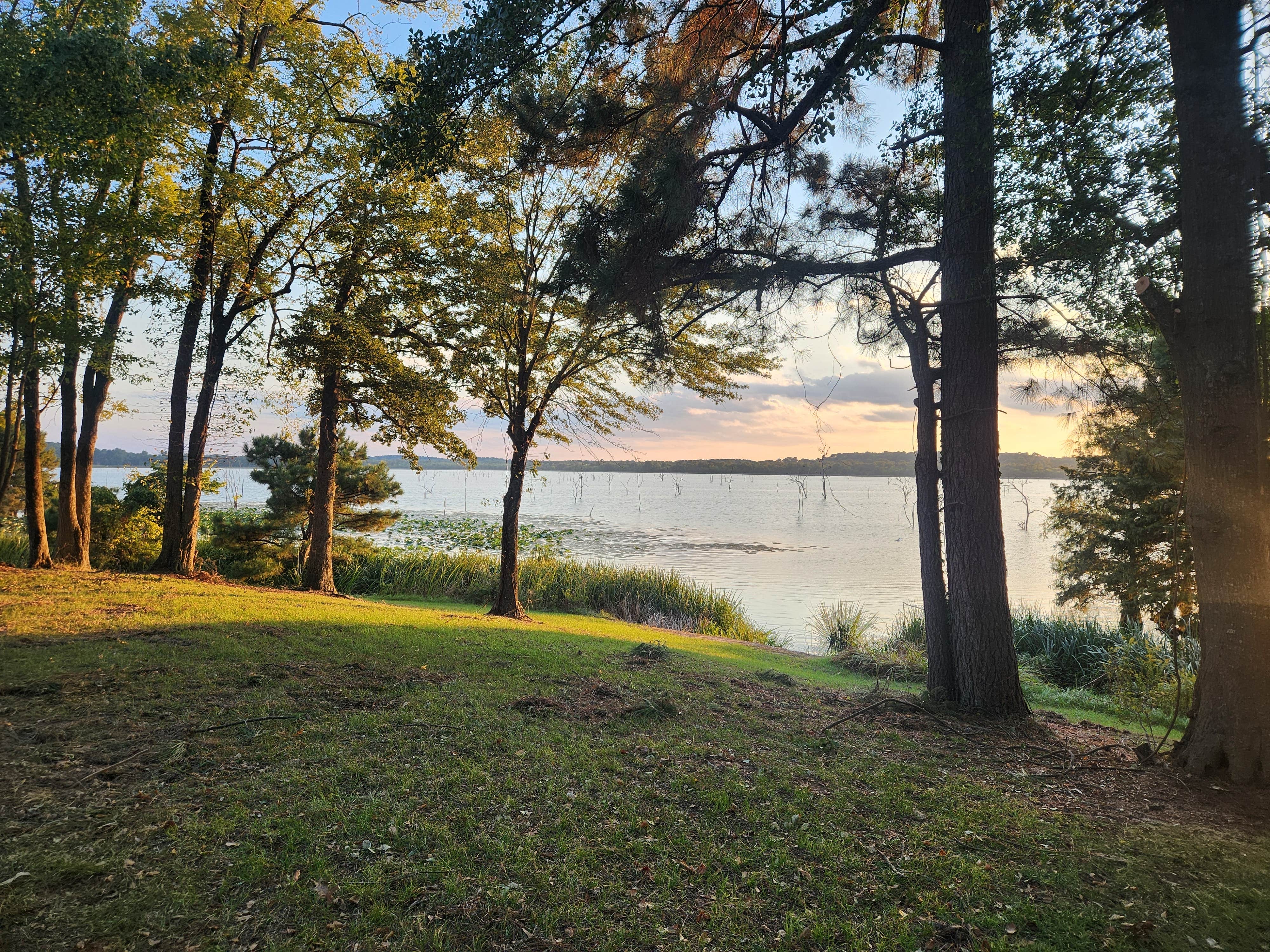 Camper submitted image from Bois D'Arc Lake Wildlife Area - 2