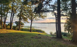 Lynn's photo of a dispersed camping area at Bois D'Arc Lake Wildlife Area near De Queen, AR