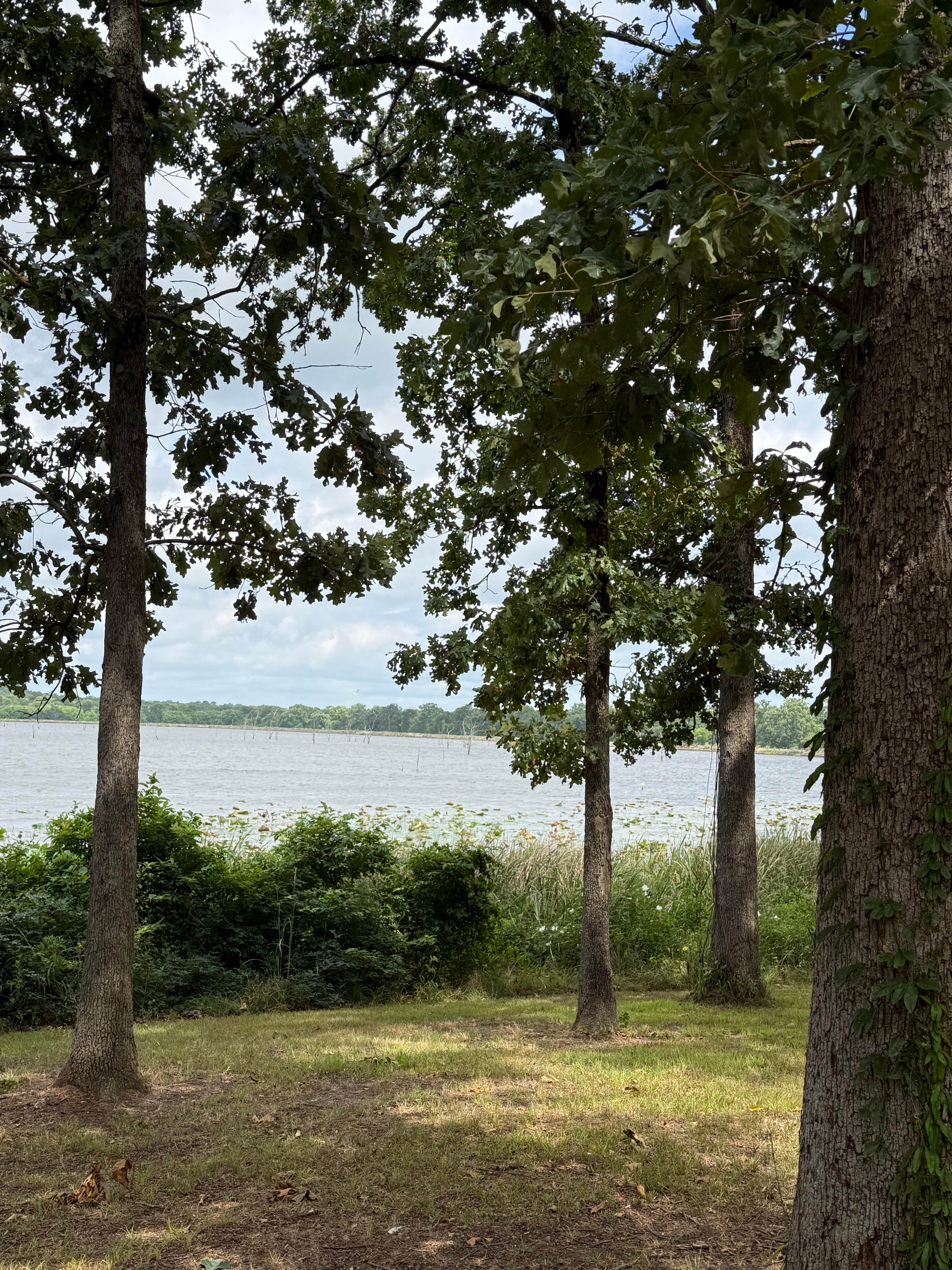 Camper-submitted photo at Bois D'Arce Lake Peninsula near Bradley, AR