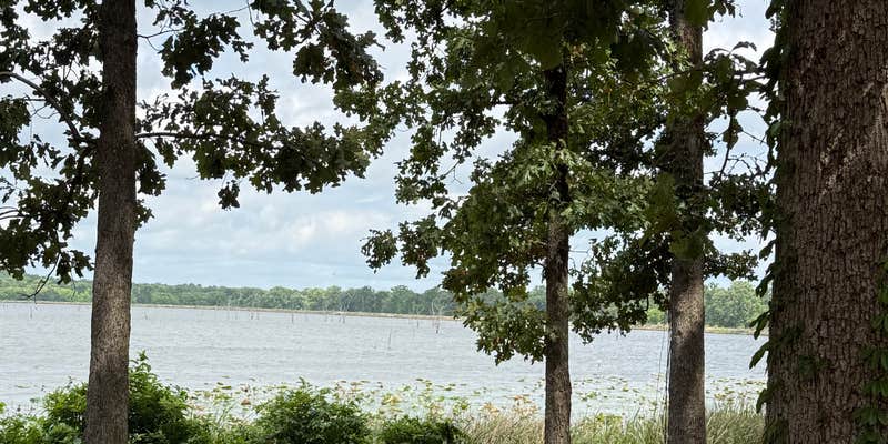 Camper submitted image from Bois D'Arce Lake Peninsula