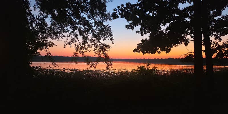 Camper submitted image from Bois D'Arce Lake Peninsula