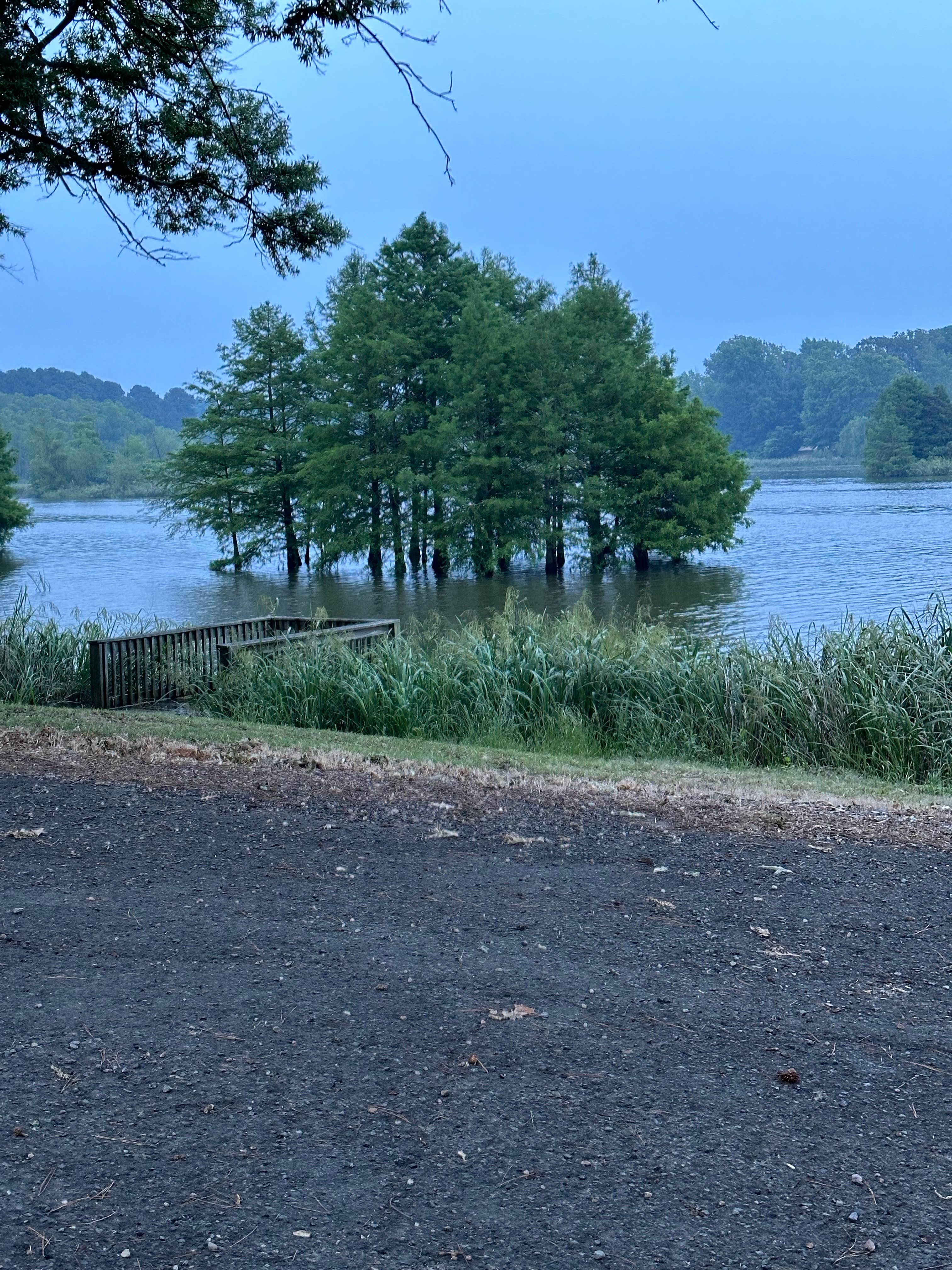 Camping near Murph's RV Park: Bois D'Arce Lake Peninsula, Hope, Arkansas