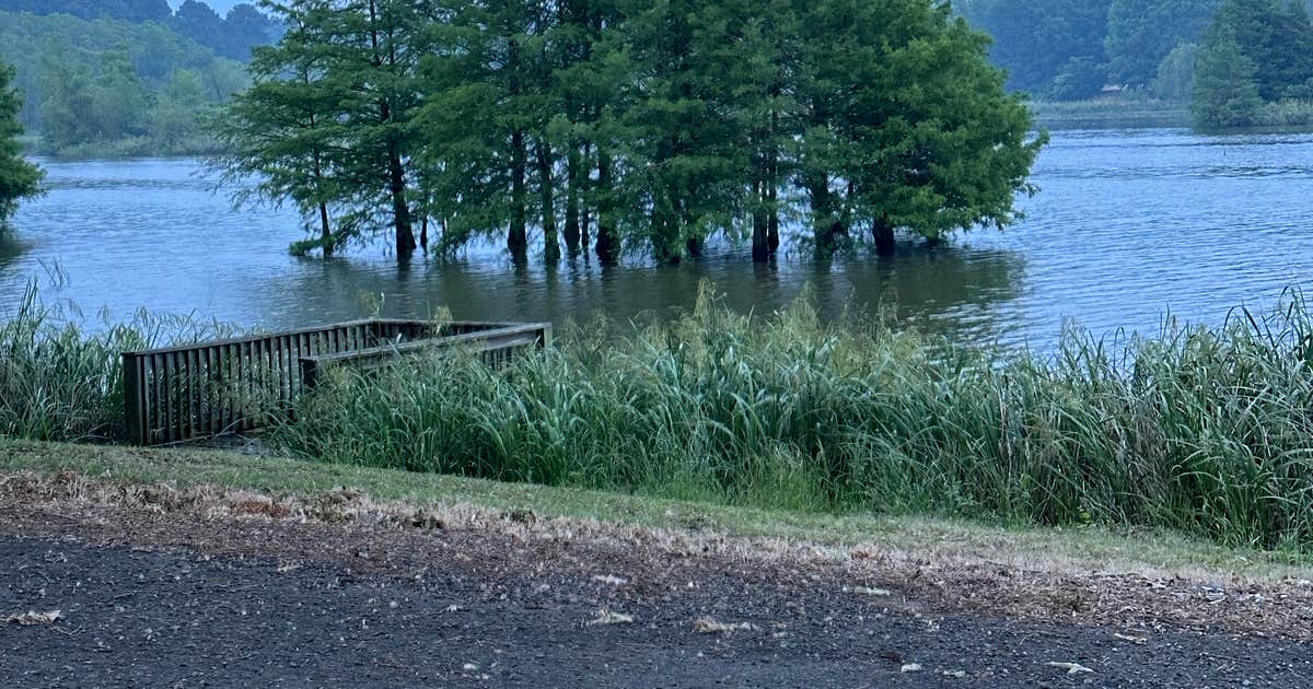 Bois D'Arce Lake Peninsula