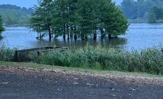 Stephen F.'s photo of a dispersed camping area at Bois D'Arce Lake Peninsula near De Queen, AR