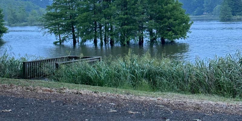 Camper submitted image from Bois D'Arce Lake Peninsula