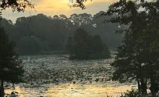 Joy J.'s photo of a dispersed camping area at Bois D'Arce Lake Peninsula in Arkansas