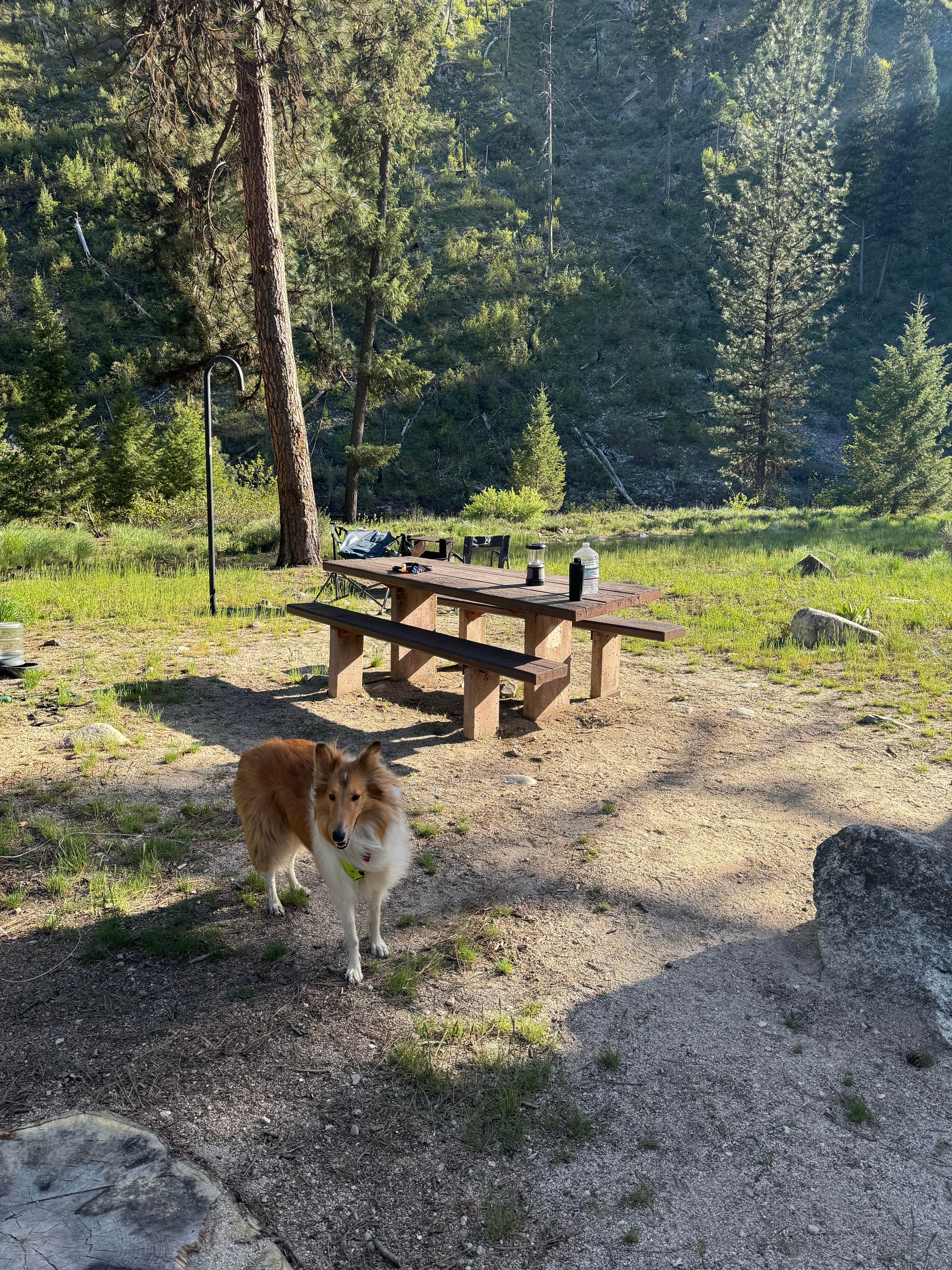 Josh D.'s photo of camping with pets at Boise National Forest Black Rock Campground near Boise, ID