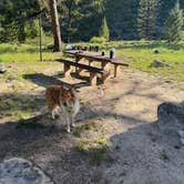 Review photo of Boise National Forest Black Rock Campground by Josh D., May 20, 2024