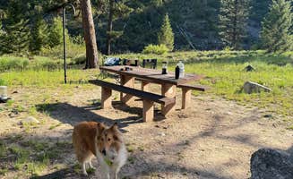 Josh D.'s photo of camping with pets at Boise National Forest Black Rock Campground near Boise, ID
