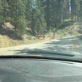 Review photo of Grayback Gulch Campground by Jessica B., August 3, 2026