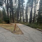 Review photo of Grayback Gulch Campground by Kimberly A., August 2, 2026