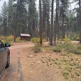 Review photo of Grayback Gulch Campground by John G., September 30, 2025