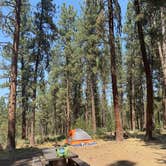 Review photo of Grayback Gulch Campground by Jessica B., August 3, 2026