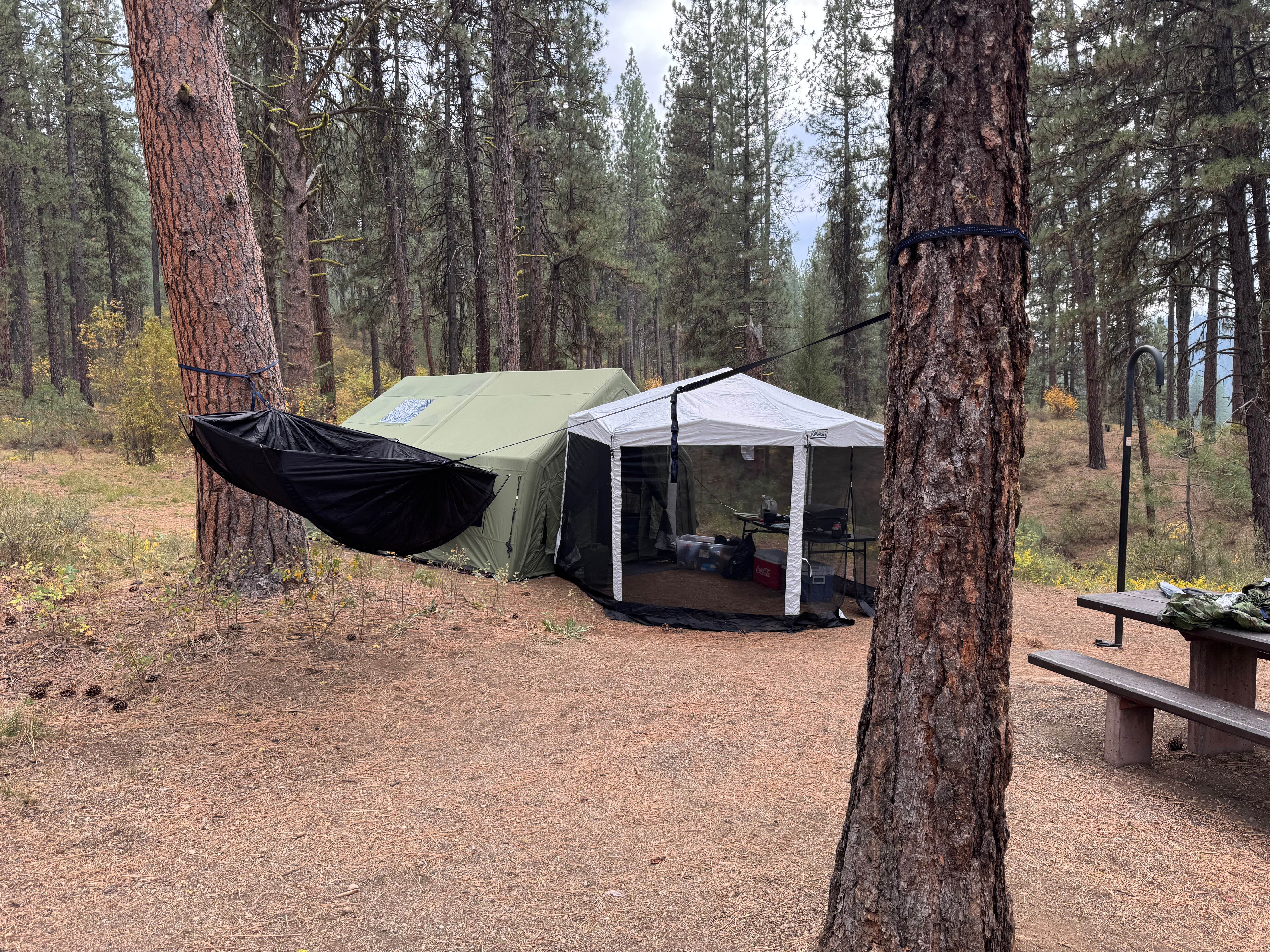 Camper-submitted photo at Grayback Gulch Campground near Idaho City, ID