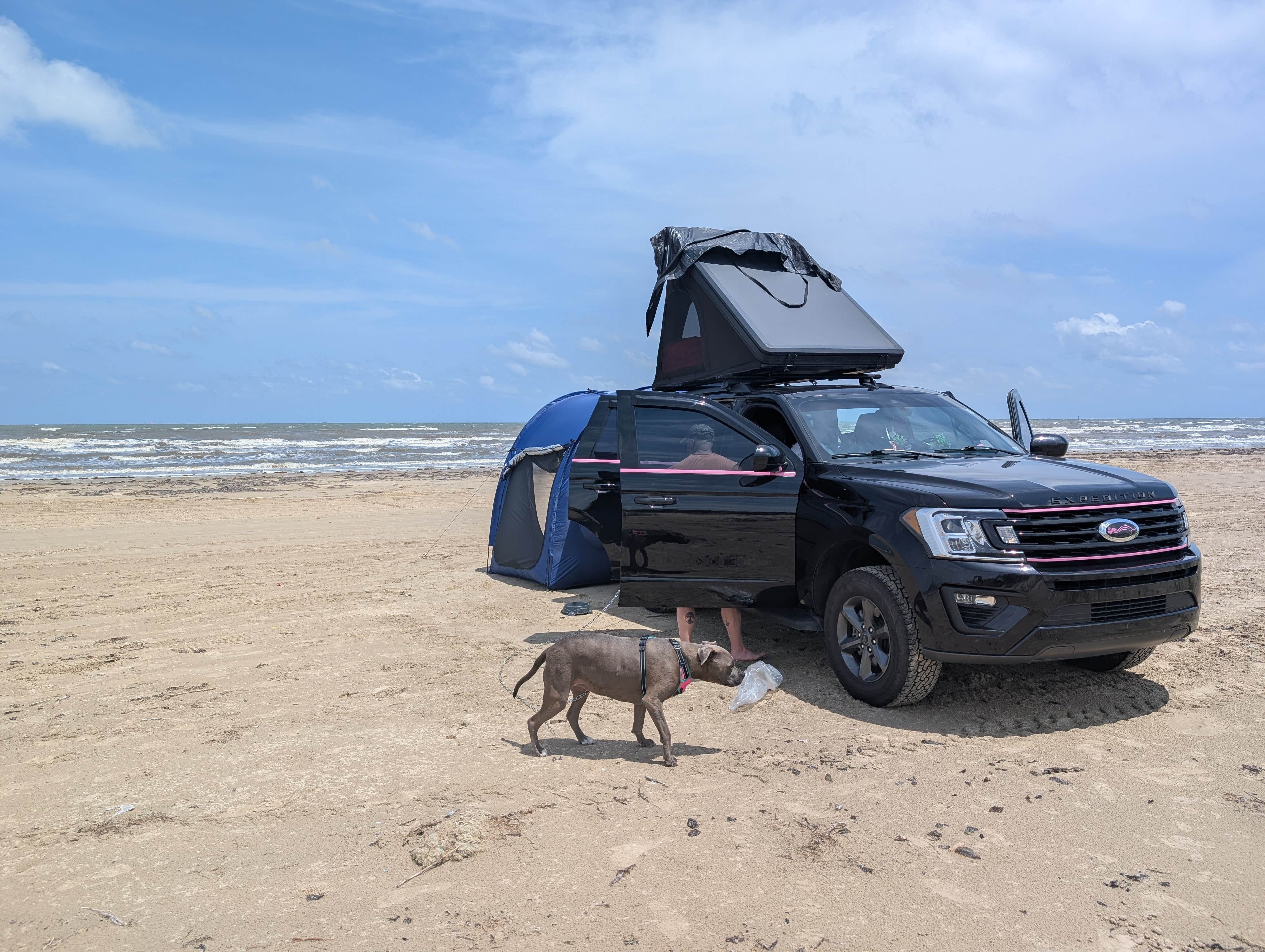 Pam H.'s photo of a dispersed camping area at Bolivar Flats Dispersed Camping near Deer Park, TX
