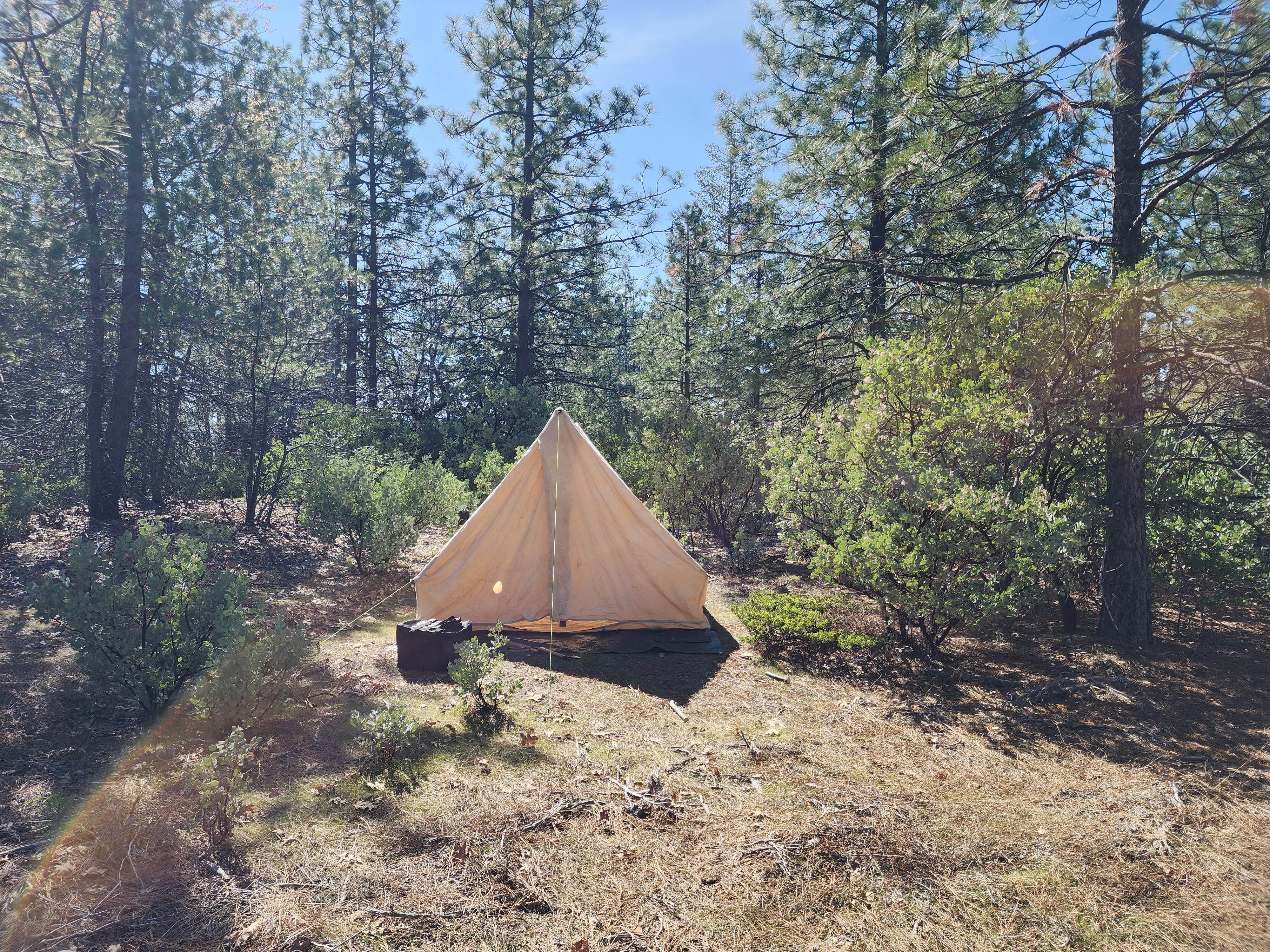 Sage R.'s photo at Boneyard Road near Twain Harte, CA