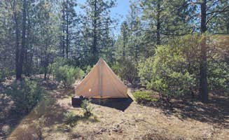Sage R.'s photo at Boneyard Road near Twain Harte, CA