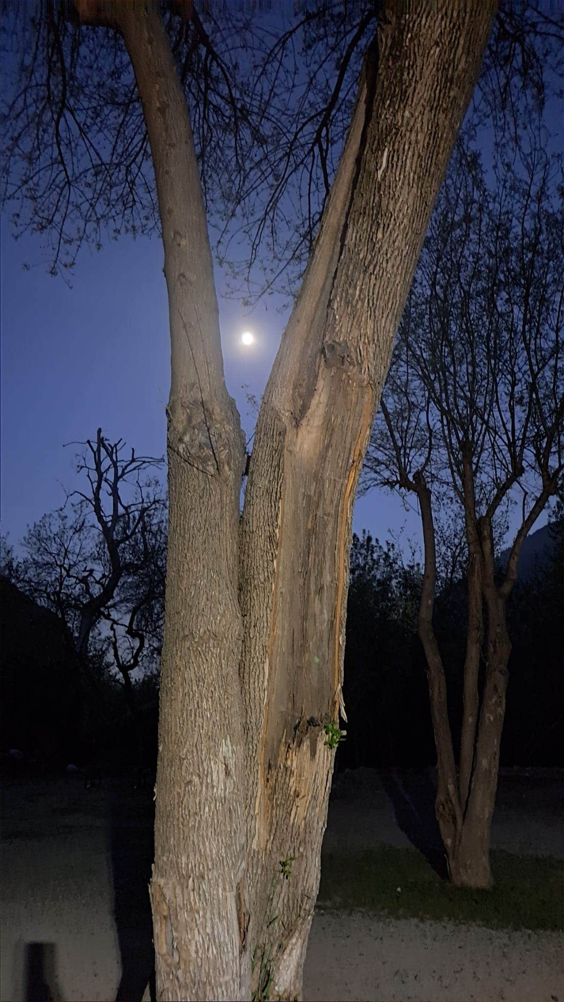 Camper-submitted photo at Bonita Ranch Campground near Mount Baldy, CA