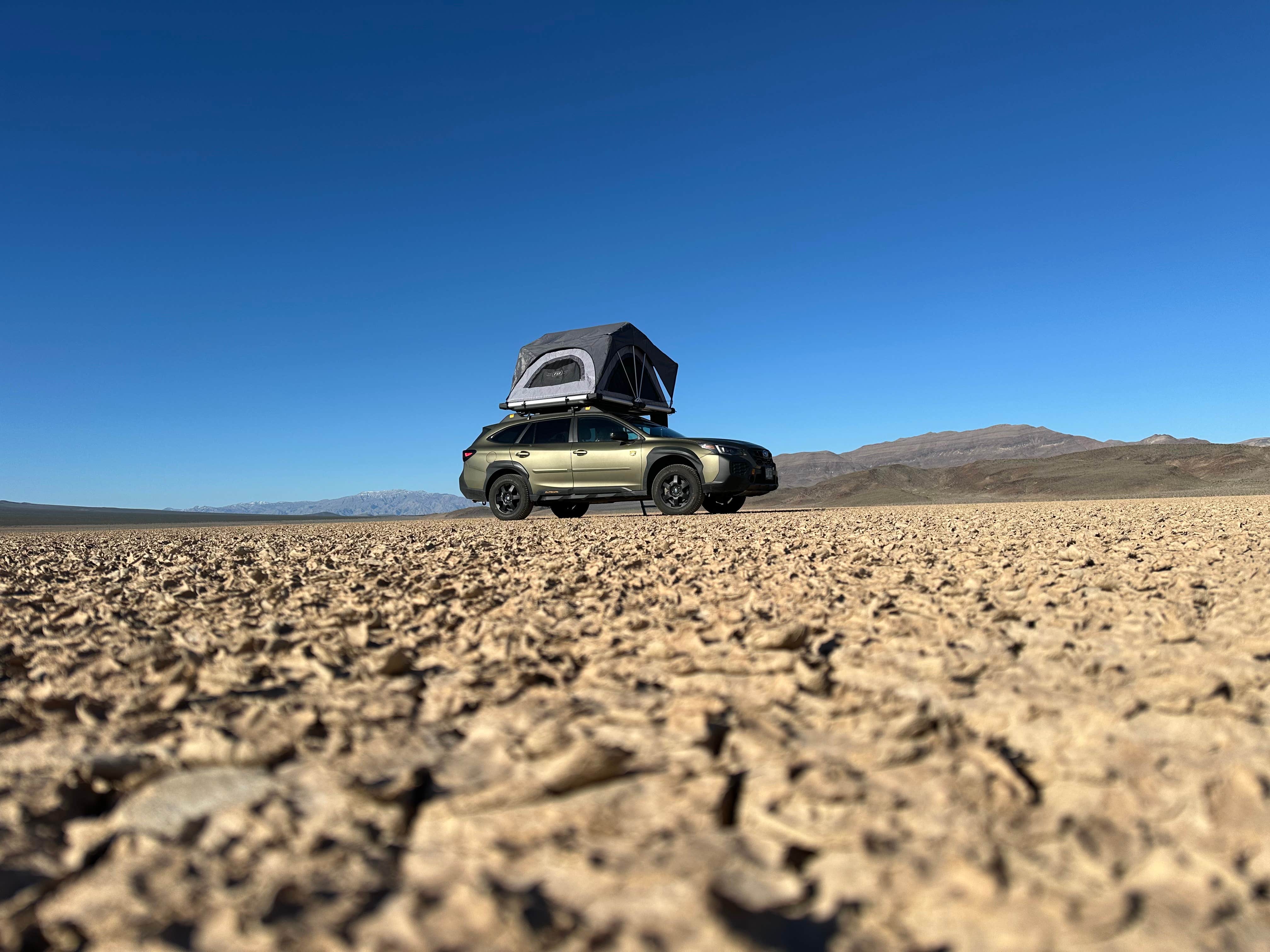 Camper submitted image from Bonnie Clair Lakebed - 3