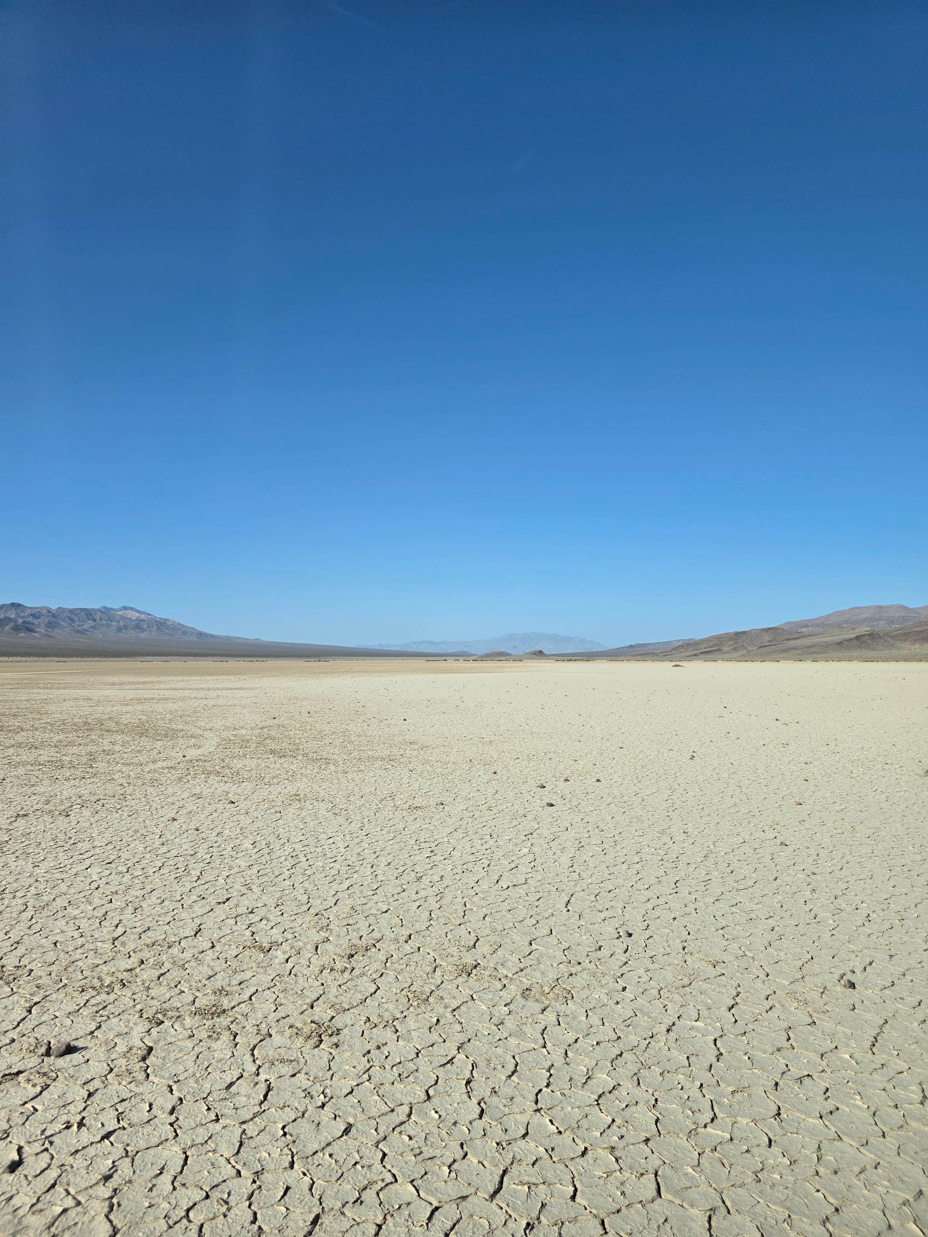 Camper-submitted photo at Bonnie Clair Lakebed near Beatty, NV