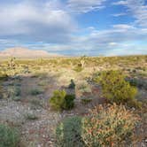 Review photo of Bonnie Clair Lakebed by Julianne N., April 19, 2024